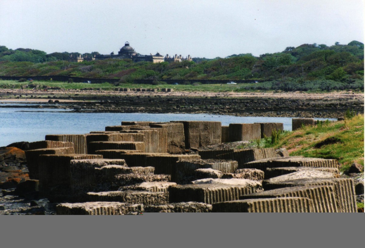 Stacks Image 26